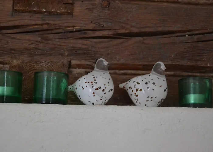 Torppa بيت ضيافة 3*